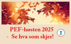 <!--@Item.AltTekst-->